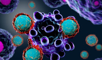 T cell immunotherapy