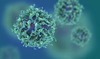 Green and blue t-cell illustration