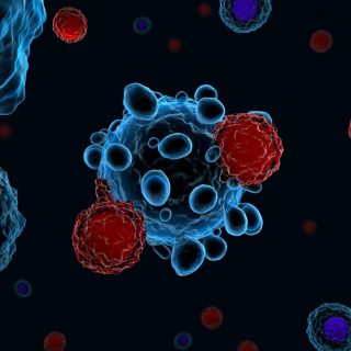 T-cells attacking cancer