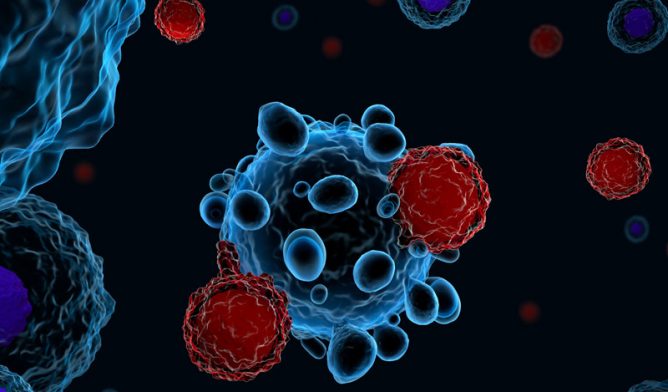 T-cells attacking cancer