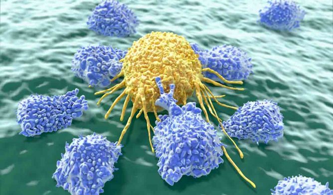 T cells attacking cancer cells