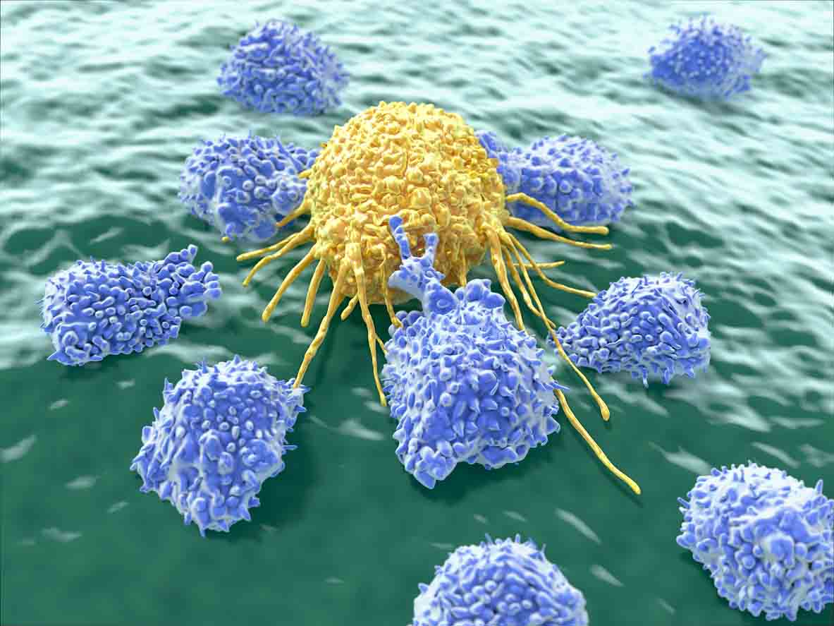 T cells attacking cancer cells