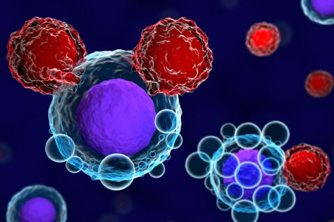 T cells attacking cancer