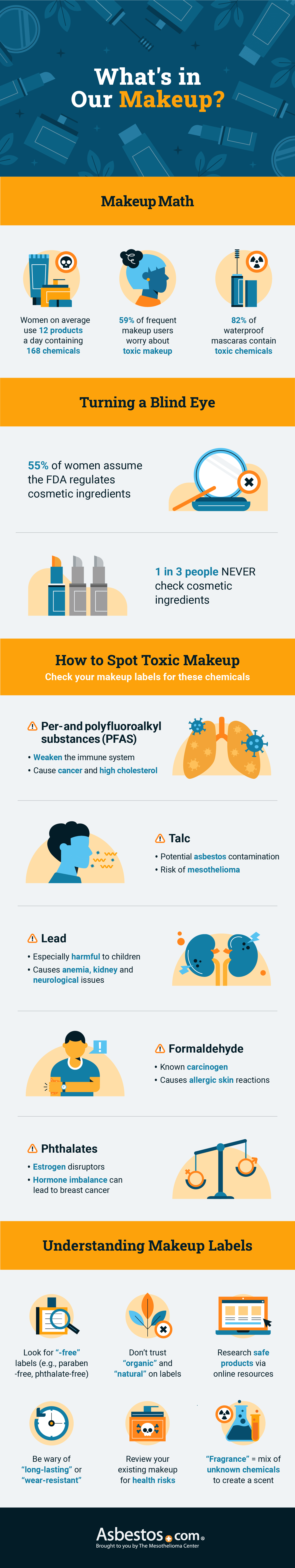 What is in makeup infographic