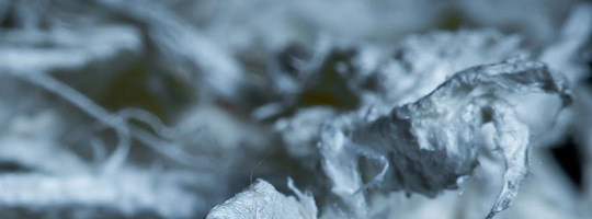 Tremolite Asbestos