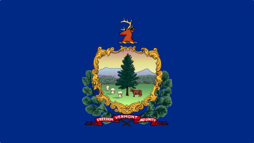 Vermont State Flag