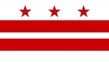 Washington D.C. State Flag