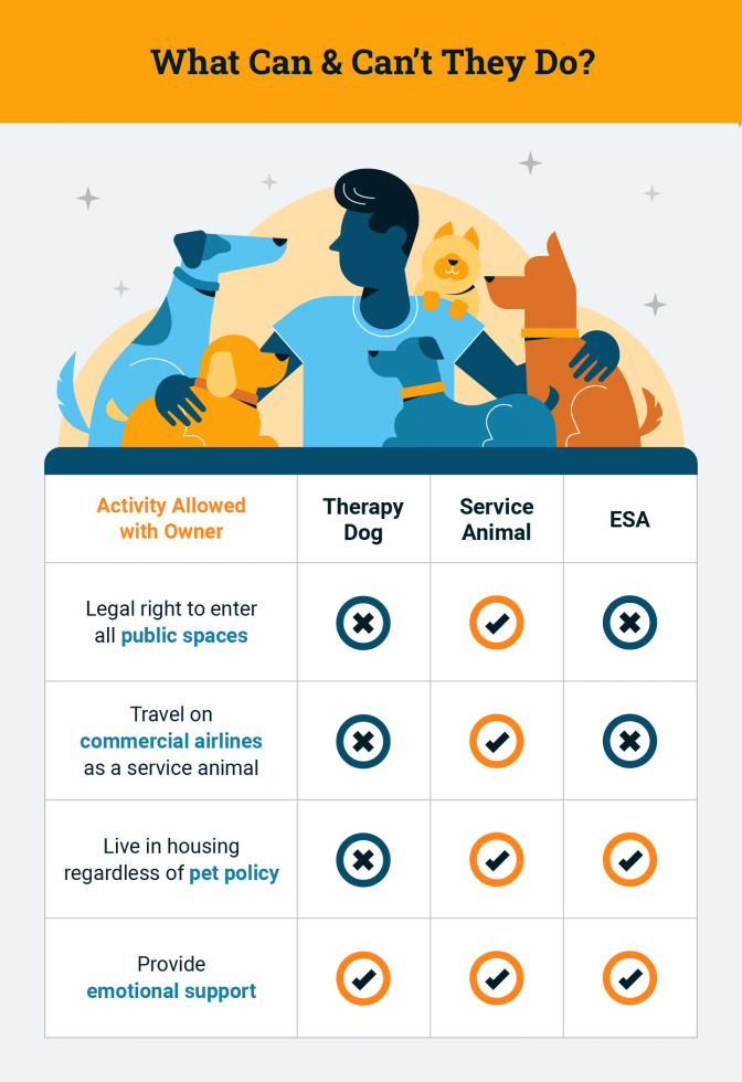 What therapy dogs, service animals and ESAs can and cannot do