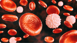 A 3D rendering of red blood cells and white blood cells in the blood stream.