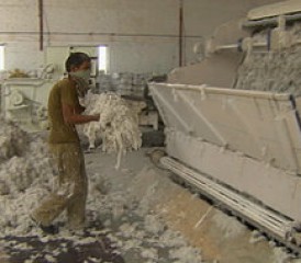 Indian Worker Handling Asbestos Indian Worker Handling Asbestos