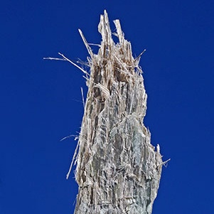Anthophyllite Asbestos Mineral Specimen