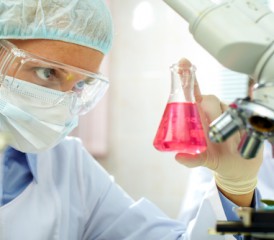 Scientist looks at Erlenmeyer flask Scientist looks at Erlenmeyer flask
