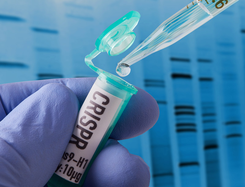 Gene-Editing Tool Reverses Cancer Resistance to Chemotherapy