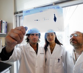 Dr. Michele Carbone with other doctors Dr. Michele Carbone with other doctors