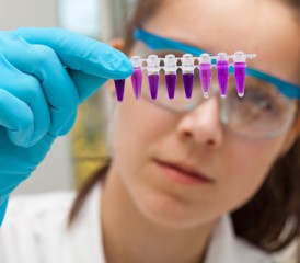 Female researcher examines purple liquid in vials Female researcher examines purple liquid in vials