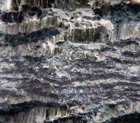 Sample of chrysotile asbestos Sample of chrysotile asbestos