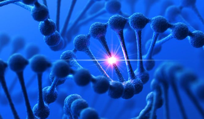 DNA modification
