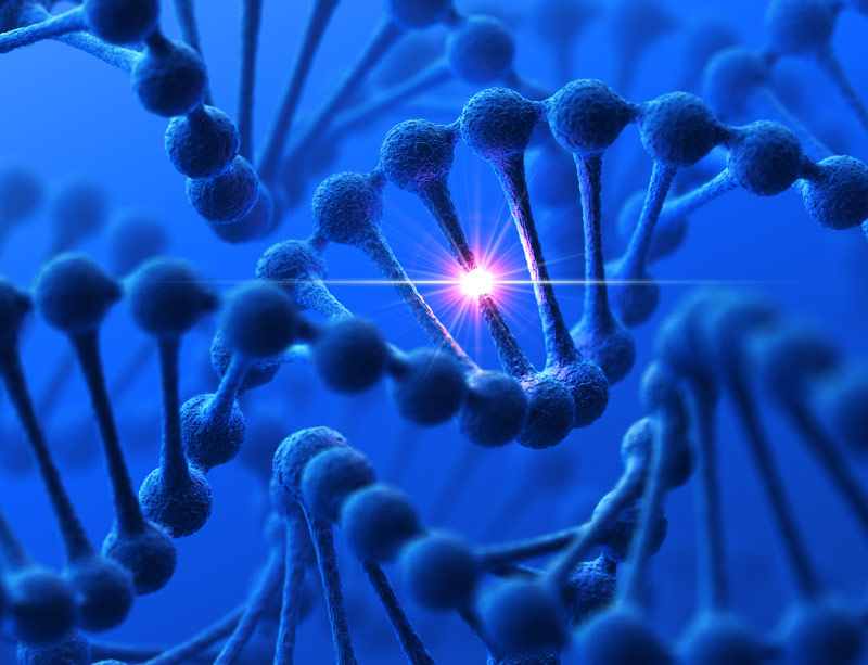 DNA modification DNA modification