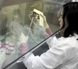 Female scientist taking a sample in a lab Female scientist taking a sample in a lab