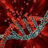 Colorful DNA ladder with broken strand Colorful DNA ladder with broken strand
