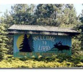 Welcome to Libby Welcome to Libby