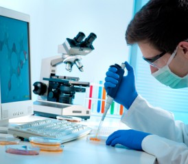 Researchers taking samples