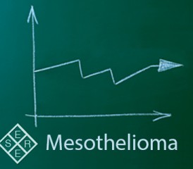 Mesothelioma written on a green chalkboard with arrows Mesothelioma written on a green chalkboard with arrows