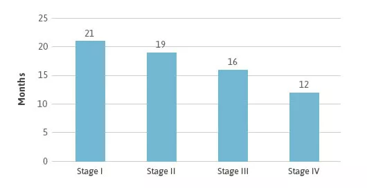 Pleural Mesothelioma Median Survival by Stage