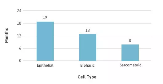 Pleural Mesothelioma Median Survival by Tumor Histology