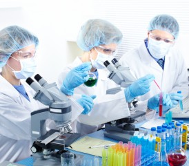 Researchers in a lab Researchers in a lab