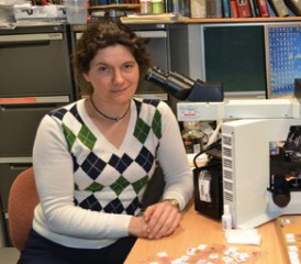 Sonja Klebe, an associate professor in the Anatomical Pathology Department at Flinders University in Australia Sonja Klebe, an associate professor in the Anatomical Pathology Department at Flinders University in Australia