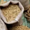 Burlap bags with whole grain Burlap bags with whole grain
