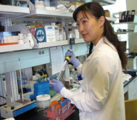 Dr. Haining Yang at the University of Hawaii Cancer Center Dr. Haining Yang at the University of Hawaii Cancer Center