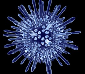 Illustration of the adenovirus Illustration of the adenovirus