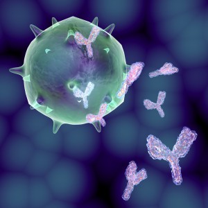 Antigen antibody