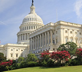 U.S. Capitol U.S. Capitol