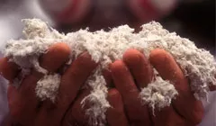 Hands holding asbestos fibers