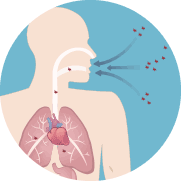 Body Inhaling Asbestos
