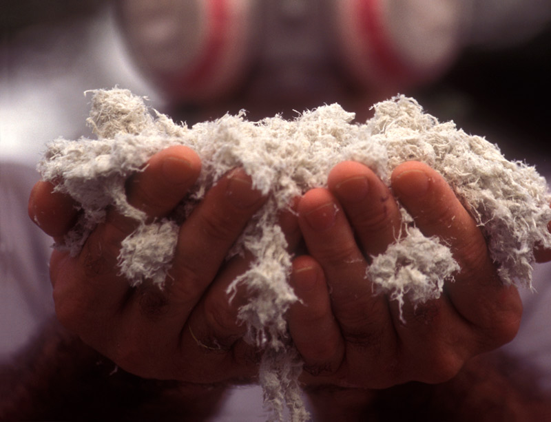 Asbestos worker holding asbesots Asbestos worker holding asbesots