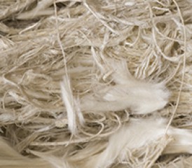 Asbestos fibers Asbestos fibers