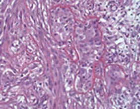 Biphasic cells