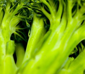 Broccoli stalks Broccoli stalks