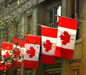 Canadian flags Canadian flags