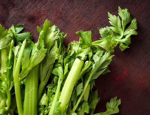 Celery Celery
