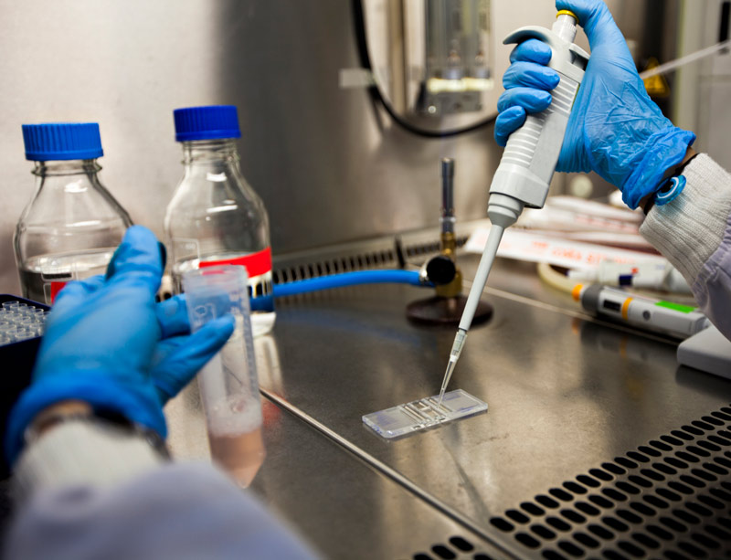 Cell samples in lab Cell samples in lab