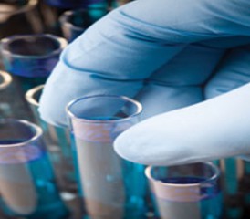 chemosensitivity chemosensitivity