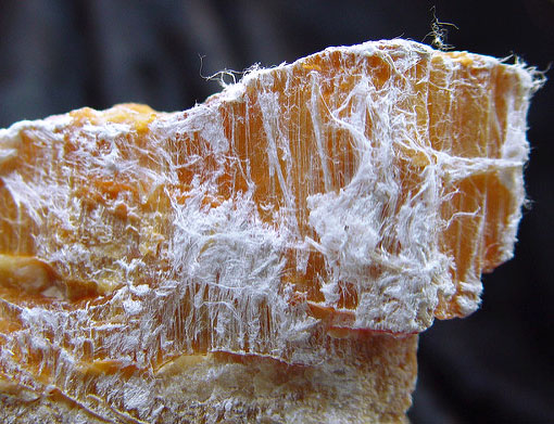 Chrysotile asbestos fibers Chrysotile asbestos fibers