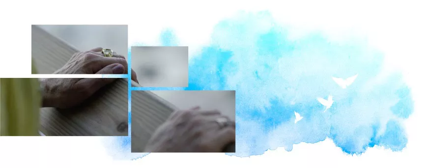 elderly hands