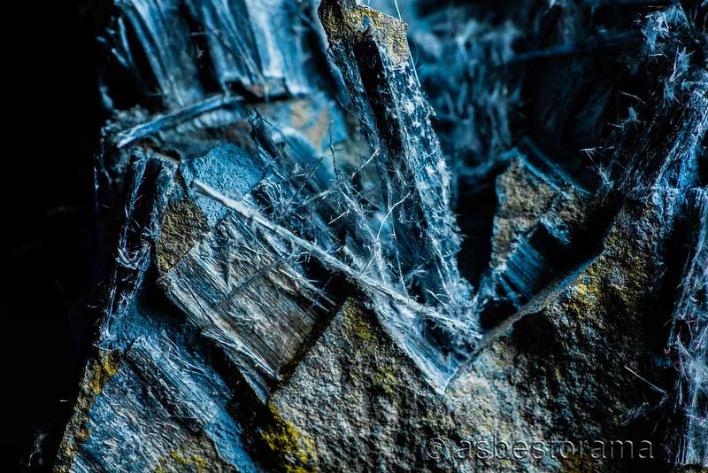 Crocidolite asbestos