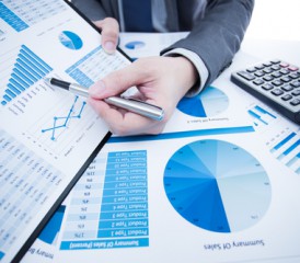 Displaying Reports Displaying Reports